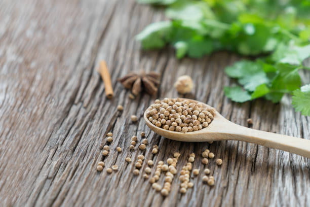 تصویر 3 از خرید و قیمت تخم گشنیز ترد + فروش صادراتی